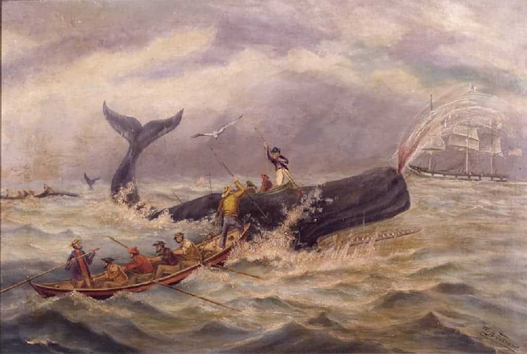 Museum’s artifact may link to Shinnecock leader’s whaling ancestor. 